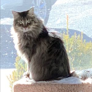 Meet your Posher, Becca